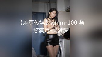 【麻豆传媒】wmm-100 禁慾满月-吴梦梦