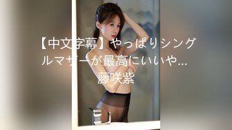 【中文字幕】やっぱりシングルマザーが最高にいいや… 藤咲紫