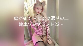 蝶が如く ～ピンク通りの二輪車ソープランド22～