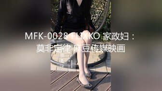 MFK-0028 FLIXKO 家政妇：莫非定律 麻豆传媒映画