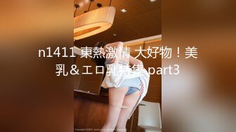 n1411 東熱激情 大好物！美乳＆エロ乳特集 part3