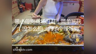 带小母狗商场逛逛，简单玩玩，没怎么拍，约了个绿帽男