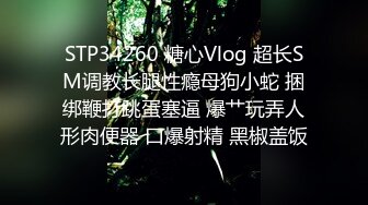 STP34260 糖心Vlog 超长SM调教长腿性瘾母狗小蛇 捆绑鞭打跳蛋塞逼 爆艹玩弄人形肉便器 口爆射精 黑椒盖饭