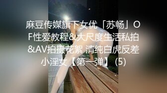 麻豆传媒旗下女优「苏畅」OF性爱教程&大尺度生活私拍&AV拍摄花絮 清纯白虎反差小淫女【第一弹】 (5)