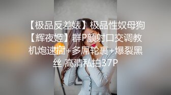 【极品反差婊】极品性奴母狗【辉夜姬】群P颜射口交调教 机炮速插+多屌轮裹+爆裂黑丝 高清私拍37P