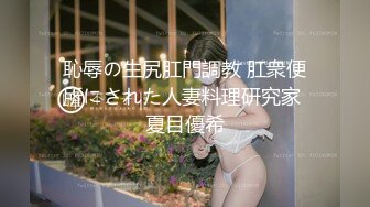 恥辱の生尻肛門調教 肛衆便所にされた人妻料理研究家 夏目優希