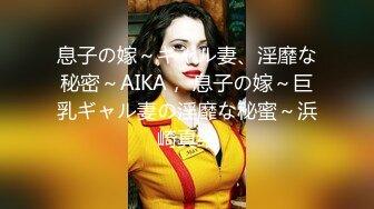 息子の嫁～ギャル妻、淫靡な秘密～AIKA， 息子の嫁～巨乳ギャル妻の淫靡な秘蜜～浜崎真绪