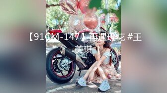 【91CM-147】再遇班花 #王美琪