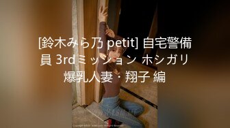 [鈴木みら乃 petit] 自宅警備員 3rdミッション ホシガリ爆乳人妻・翔子 編