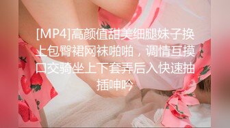 [MP4]高颜值甜美细腿妹子换上包臀裙网袜啪啪，调情互摸口交骑坐上下套弄后入快速抽插呻吟