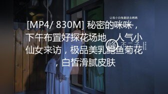 [MP4/ 830M] 秘密的咪咪，下午布置好探花场地，人气小仙女来访，极品美乳鲍鱼菊花，白皙滑腻皮肤