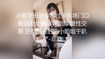 小胖下班途中路过停车场门口被站街女搭讪 带到家里性交易 还挺厉害的把小姐姐干趴了-菲菲