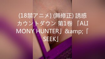 (18禁アニメ) (無修正) 誘惑カウントダウン 第1巻 「ALIMONY HUNTER」&amp;「SEEK」