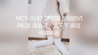 MCY-0187 吴文琪 空姐的VIP私活 淫浪骚人满天下 麻豆传媒映画