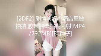 [2DF2] 剧情演绎小酒店里被拍拍 胶带捆绑强制内射[MP4/292MB][BT种子]