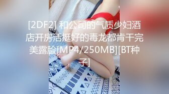 [2DF2] 和公司的气质少妇酒店开房活挺好的毒龙都肯干完美露脸[MP4/250MB][BT种子]