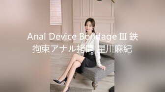 Anal Device Bondage III 鉄拘束アナル拷問 星川麻紀