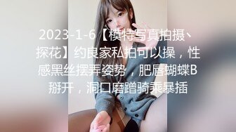 2023-1-6【模特写真拍摄丶探花】约良家私拍可以操，性感黑丝摆弄姿势，肥唇蝴蝶B掰开，洞口磨蹭骑乘暴插