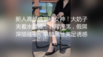 新人高颜值网红女神！大奶子夹着水晶棒，非常淫荡，假屌深插骚逼，单腿黑丝美足诱惑